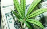 【聚焦】对大麻产业的思考