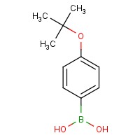 4-叔丁氧基苯硼酸