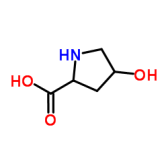 L-羟基脯氨酸