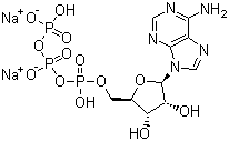 腺苷-5'-三磷酸二钠盐
