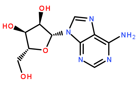 腺苷