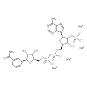 β-烟酰胺腺嘌呤二核苷酸 2′-磷酸 四钠盐 水合物